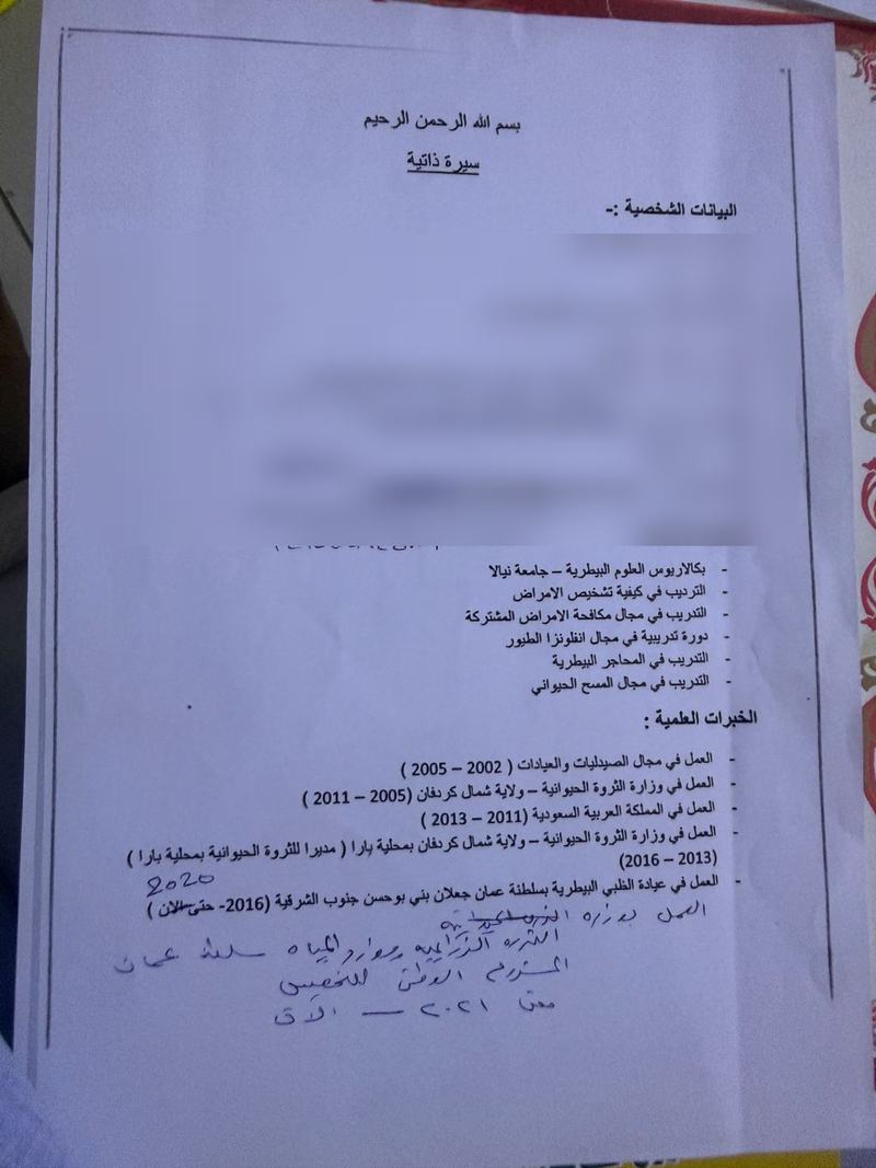 CV before — scanned and unstructured